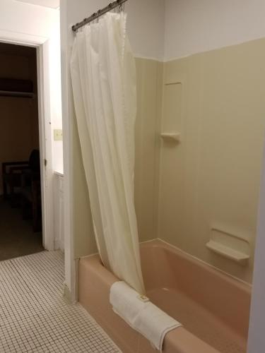 Lido Motel Lake Georgeにあるバスルーム