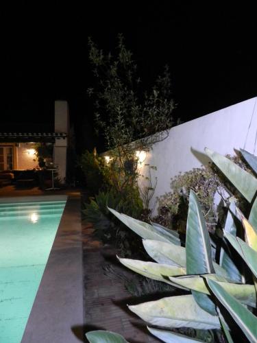 Bazén v ubytování Casa dos Cactos nebo v jeho okolí
