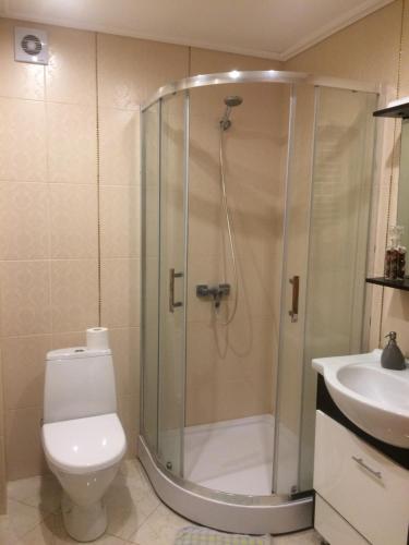 e bagno con doccia, servizi igienici e lavandino. di House in Lviv a Lviv