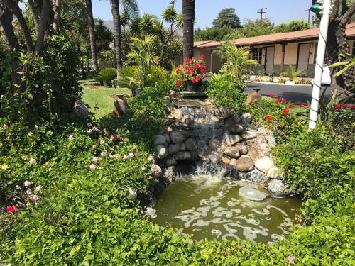 a small pond in a yard with flowers at Palm Tropics Motel in Glendora