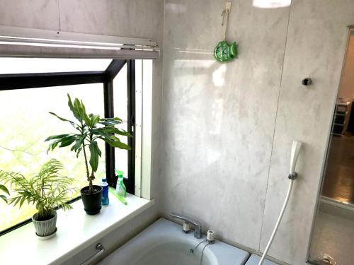 a bathroom with a sink and a window and plants at Guest House Seaside Namihei in Naoshima
