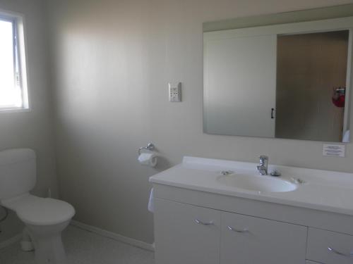 a bathroom with a sink and a toilet and a mirror at Mount Hutt Motels in Methven