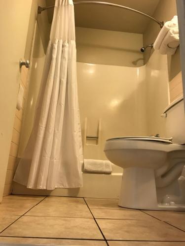a white bathroom with a toilet and a shower at Blue Note Motor Inn in Marietta