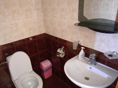 a bathroom with a toilet and a sink at Raduga 514 in Zatoka