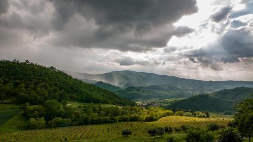 Fattoria Il Lago – Photos 2