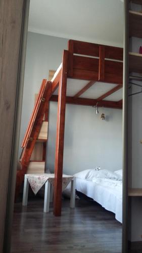 a bedroom with a bunk bed and a ladder at Studio Na Powiślu in Krakow