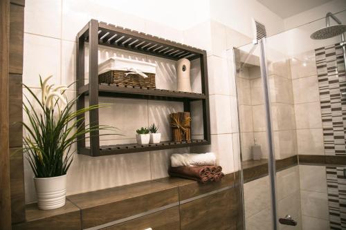 a bathroom with a shower with a shelf and plants at Apartament Przy Rynku in Opole
