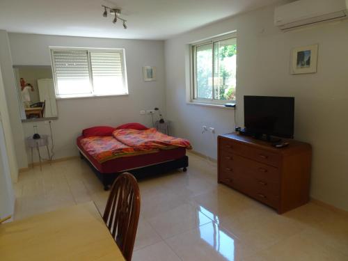 a bedroom with a bed and a television on a dresser at Magnificent studio in Zichron yaakov sea view and garden in Zikhron Ya‘aqov