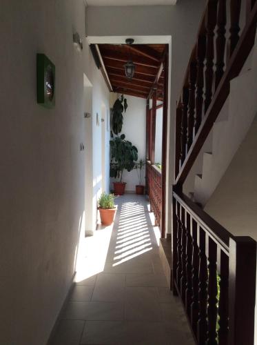 a hallway of a house with stairs and potted plants at Studios Nopi-Zoi in Skiathos Town