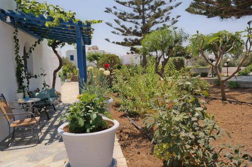a garden with plants in pots on a patio at Maroussa Studios in Agia Anna Naxos