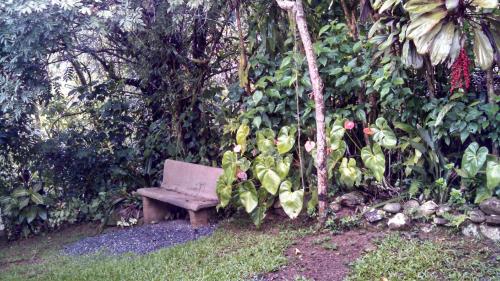 a bench sitting in the middle of a garden at Ouro Grosso Chales in Iporanga