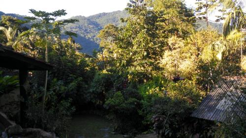 a view of a forest with mountains in the background at Ouro Grosso Chales in Iporanga
