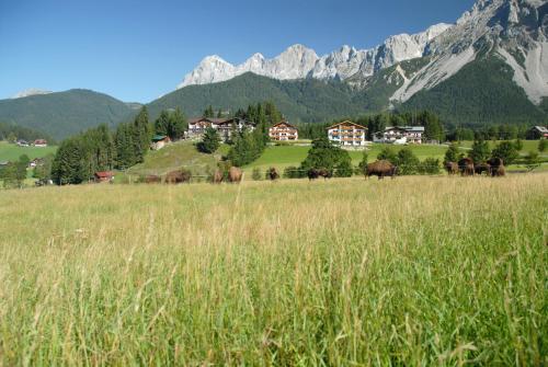 a field of tall grass with mountains in the background at Aparthotel Sunrise in Ramsau am Dachstein