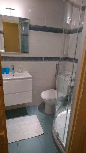 une salle de bain avec toilettes, lavabo et douche dans l'établissement Sur Le Vieux Port Appartement Vue Sur Mer, à La Rochelle
