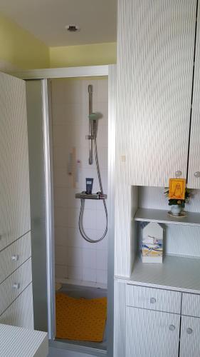 a bathroom with a shower in a room at Castel Parc in Périgny