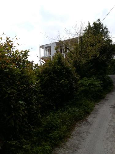 a house sitting on the side of a dirt road at Temo's guest house in Kvariati in Kvariati