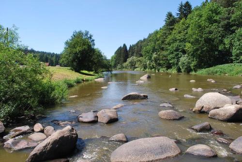 a river with rocks and trees on the side at Old Style Cottage in Horní Paseka
