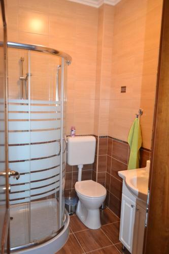 a bathroom with a shower and a toilet and a sink at Berezdtető Vendégház in Cserépfalu