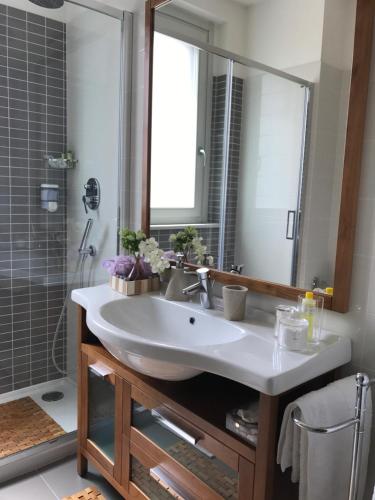 a bathroom with a sink and a large mirror at Appartamento San Pietro Firenze in Florence