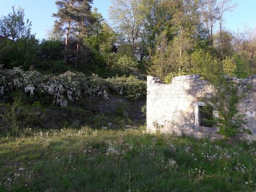an old stone wall in a field with flowers at Apartments Korana, BelajskePoljice in Duga Resa