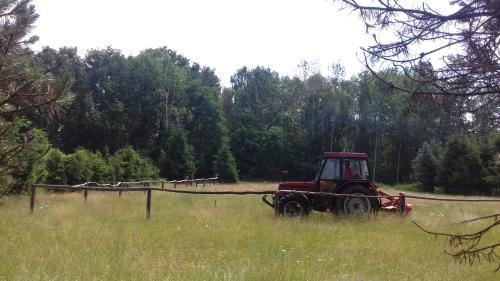 a red tractor sitting in a field of grass at Chata Zahrada Madeta in Veselí nad Lužnicí