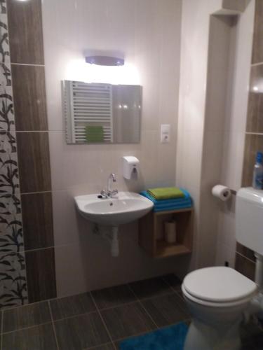 łazienka z toaletą i umywalką w obiekcie Tahiti apartman w Hajduszoboszlo