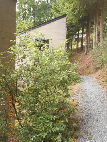 a gravel path next to a building and trees at Le Vieux Sart 3 in Stavelot