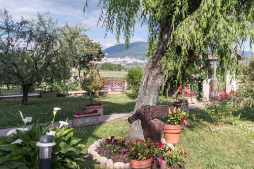 a bench in a garden with flowers and a tree at Camere Mariella in Bastia Umbra