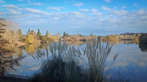 a view of a lake with trees and clouds at Tree House Lodge Bed & Breakfast in Cheviot