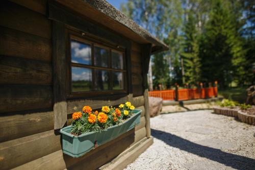 a window with a pot of flowers on the side of a building at Spa Glamping in Kirikumõisa