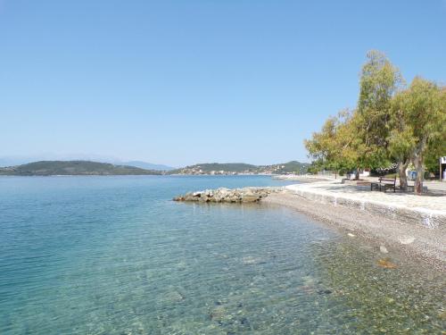 a view of a beach with trees and water at Le Due Sorelle in Spilia