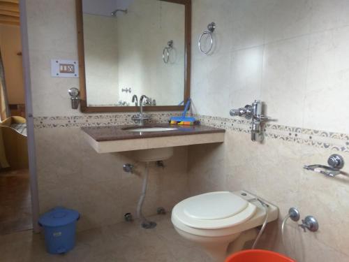 a bathroom with a toilet and a sink and a mirror at Gangs-Shun Homestay in Leh