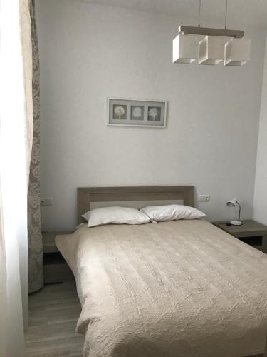 ein Schlafzimmer mit einem großen Bett mit zwei Kissen in der Unterkunft Taikos Apartmentai 2 in Druskininkai