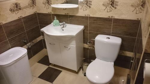 łazienka z białą toaletą i umywalką w obiekcie Domek u Bigola w Polańczyku