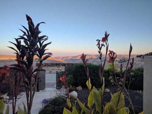a garden with plants and a view of the desert at Yehelim Boutique Hotel in Arad