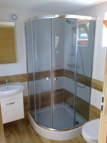La salle de bains est pourvue d'une douche en verre et de toilettes. dans l'établissement Nowe Domki Pod Lipami, à Junoszyno