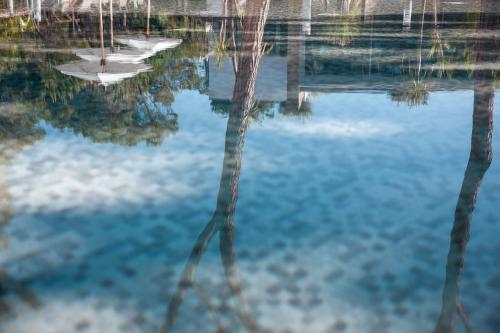 a reflection of trees in a pool of water at Riva Del Sole Resort & SPA in Castiglione della Pescaia