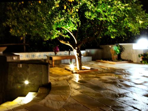 a tree sitting on a stone patio at night at Antonio Massa Lubrense in Massa Lubrense
