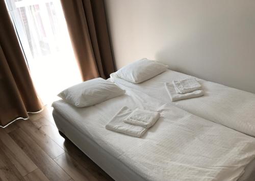 スヴェトロゴルスクにあるLakeCity Apartmentsのベッド(白いシーツ、枕付)、窓が備わります。