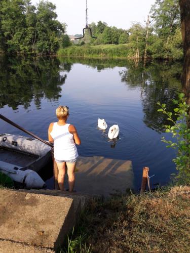a woman looking at two swans in a lake at Apartments Korana, BelajskePoljice in Duga Resa
