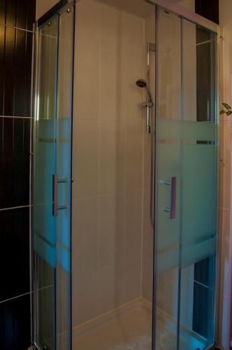 une douche avec une porte vitrée dans une salle de bain dans l'établissement Hospitalite et patrimoine, à Lentilly