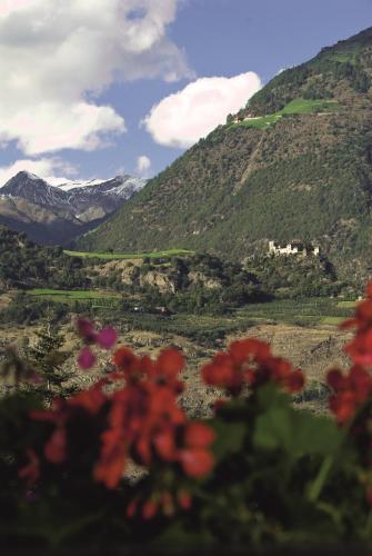 a view of a mountain with red flowers in the foreground at Pension Baumgarten in Naturno