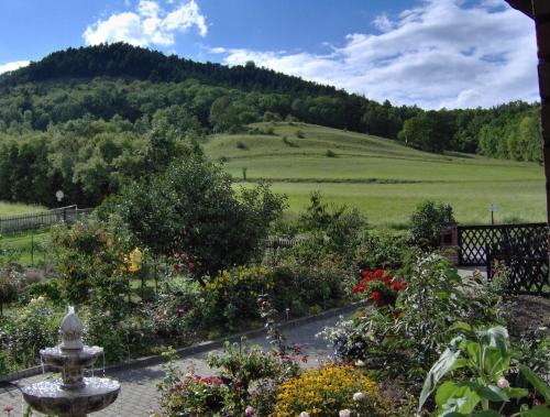 a view of a garden with a hill in the background at Hotel Haus Orchideental Jena in Jena
