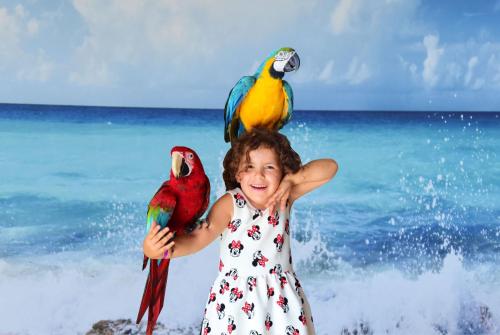 a little girl with two birds on the beach at Aquapark Health Resort & Medical SPA Panorama Morska All Inclusive in Jarosławiec