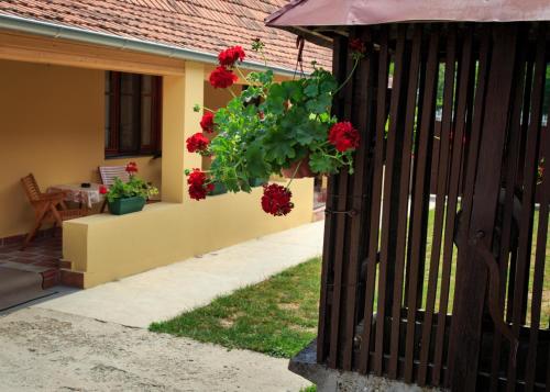 Gallery image of Fortuna Apartments in Pačir