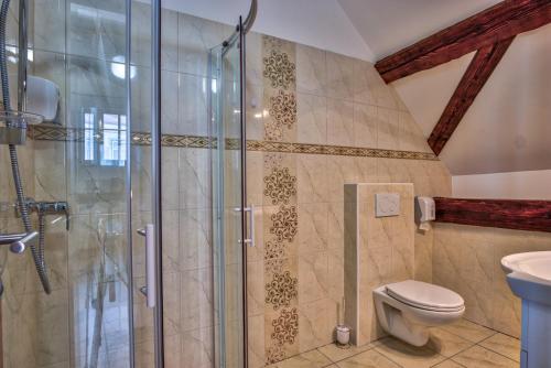 a bathroom with a shower and a toilet at Hiša Linhart, Hotel & Restaurant in Radovljica