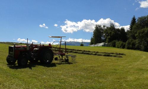a tractor sitting in a field of grass at Karnerhof in Mariapfarr