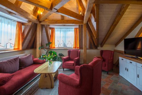 a living room with a couch and chairs and a tv at Ferienwohnungen Ender in Sebnitz