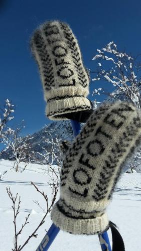 Prima Lofoten semasa musim sejuk