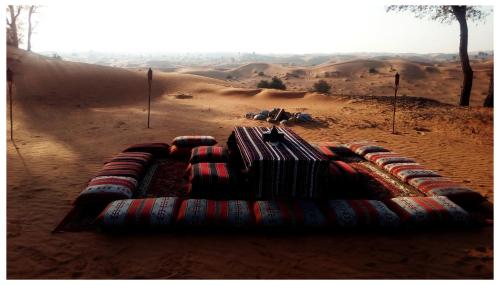 a row of blankets sitting in the desert at Bedouin Oasis Desert Camp- Ras Al Khaimah in Ras al Khaimah